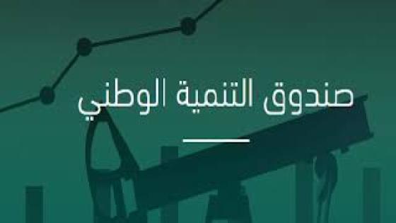 التنمية الوطني