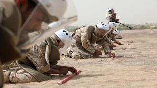 مسام: طهرنا 25 مليون متر مربع أراضي يمنية من الألغام