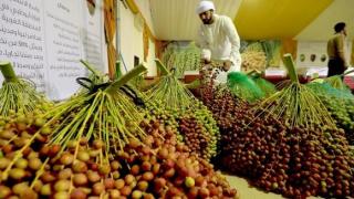 السعودية تطلب إقامة سنة دولية للتمور.. “الفاو” توافق