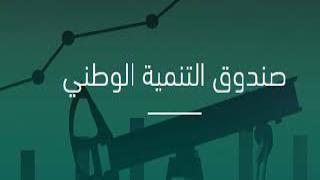 التنمية الوطني